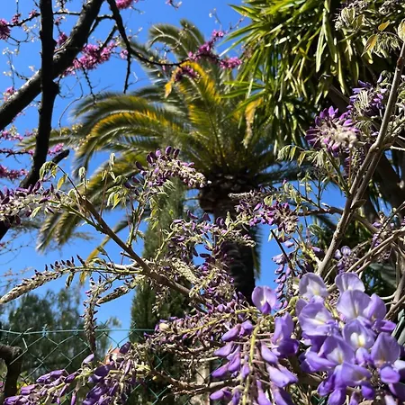 빌라 Belle Epoque Idealement Situee Et Centre