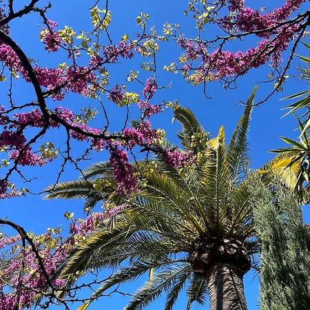 빌라 Belle Epoque Idealement Situee Et Centre *