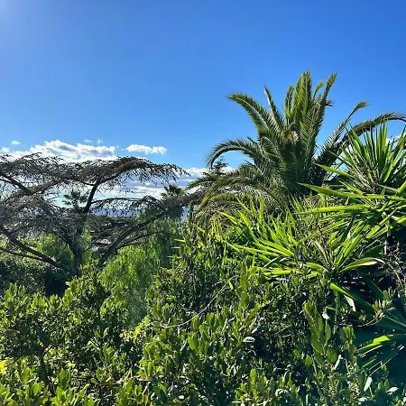 Belle Epoque Idealement Situee Et Centre * Saint-Raphaël